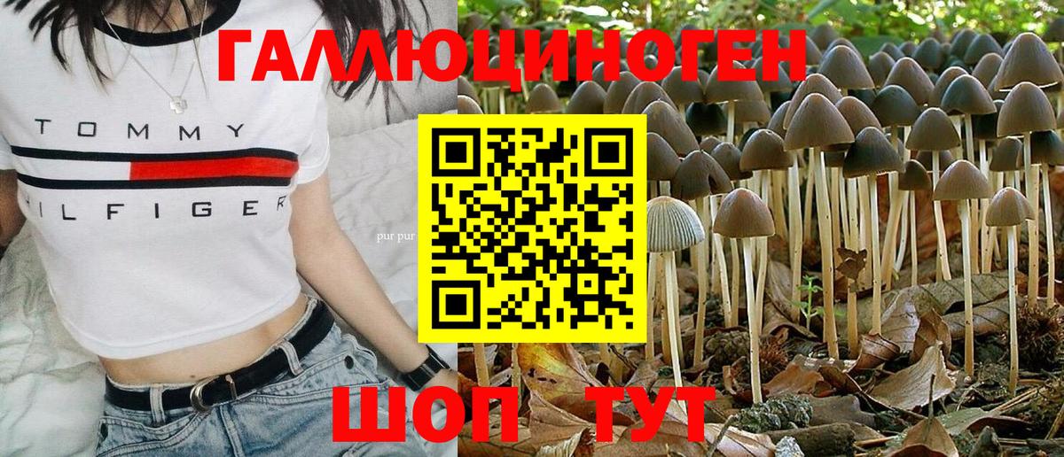 Галлюциногенные грибы мицелий Полысаево