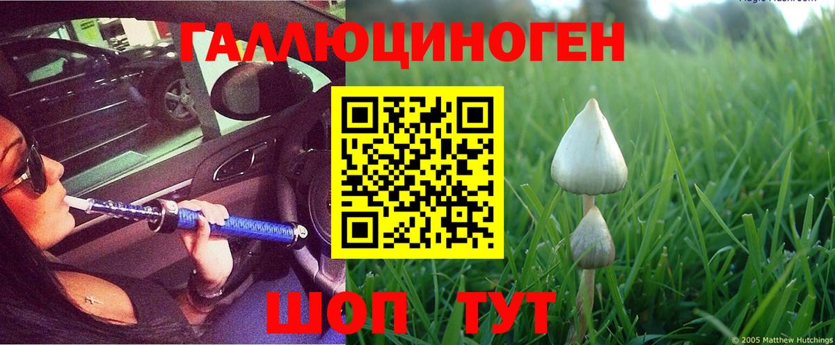 Псилоцибиновые грибы MAGIC MUSHROOMS  Вход с VPN  Полысаево 